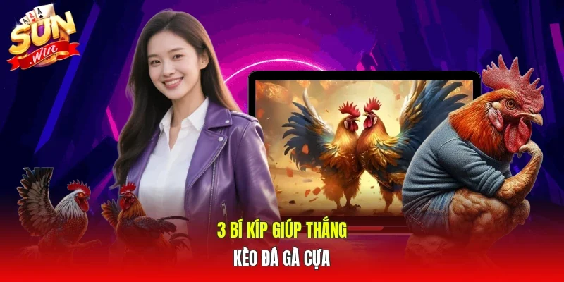 3 bí kíp giúp thắng kèo đá gà cựa