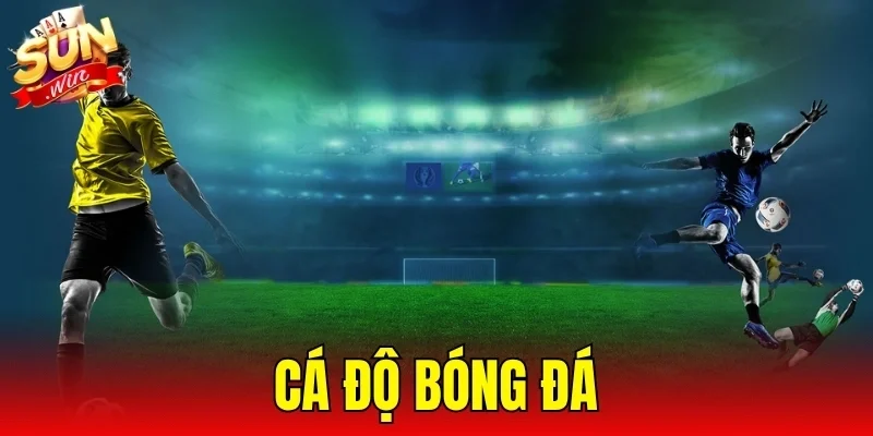 Cá Độ Bóng Đá