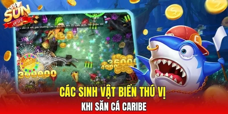 Các sinh vật biển thú vị khi săn cá Caribe