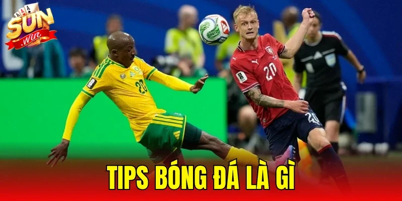 Tips Bóng Đá Là Gì
